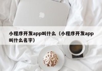 小程序開(kāi)發(fā)app叫什么（小程序開(kāi)發(fā)app叫什么名字）