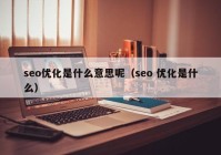 seo優(yōu)化是什么意思呢（seo 優(yōu)化是什么）