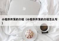 小程序開發(fā)的介紹（小程序開發(fā)的介紹怎么寫）
