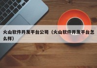火山軟件開發(fā)平臺(tái)公司（火山軟件開發(fā)平臺(tái)怎么樣）