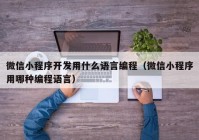 微信小程序開發(fā)用什么語言編程（微信小程序用哪種編程語言）